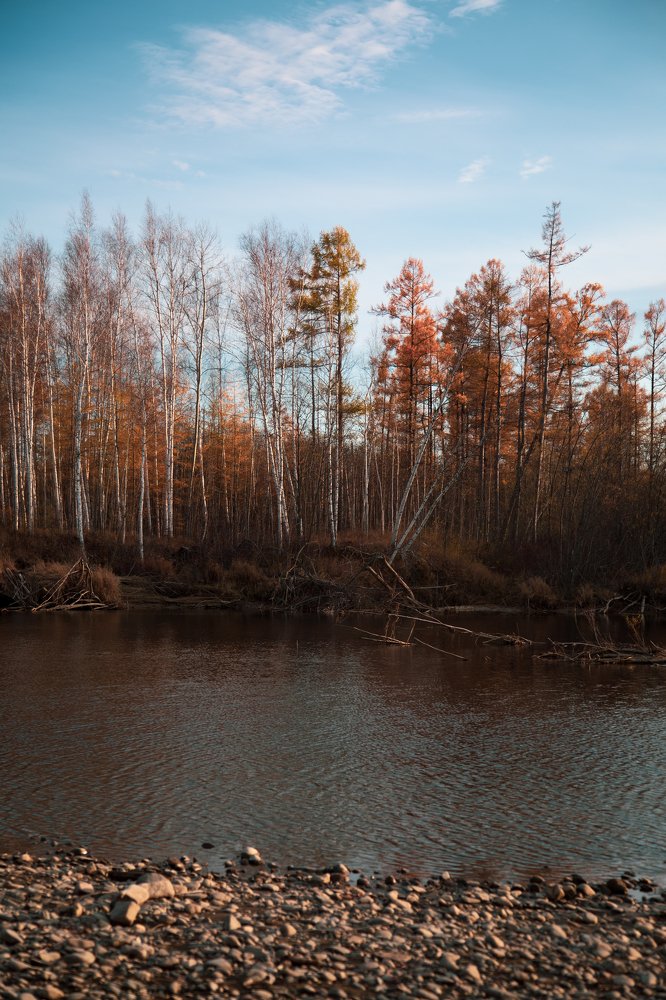 Photograph by Ксения Воронцова