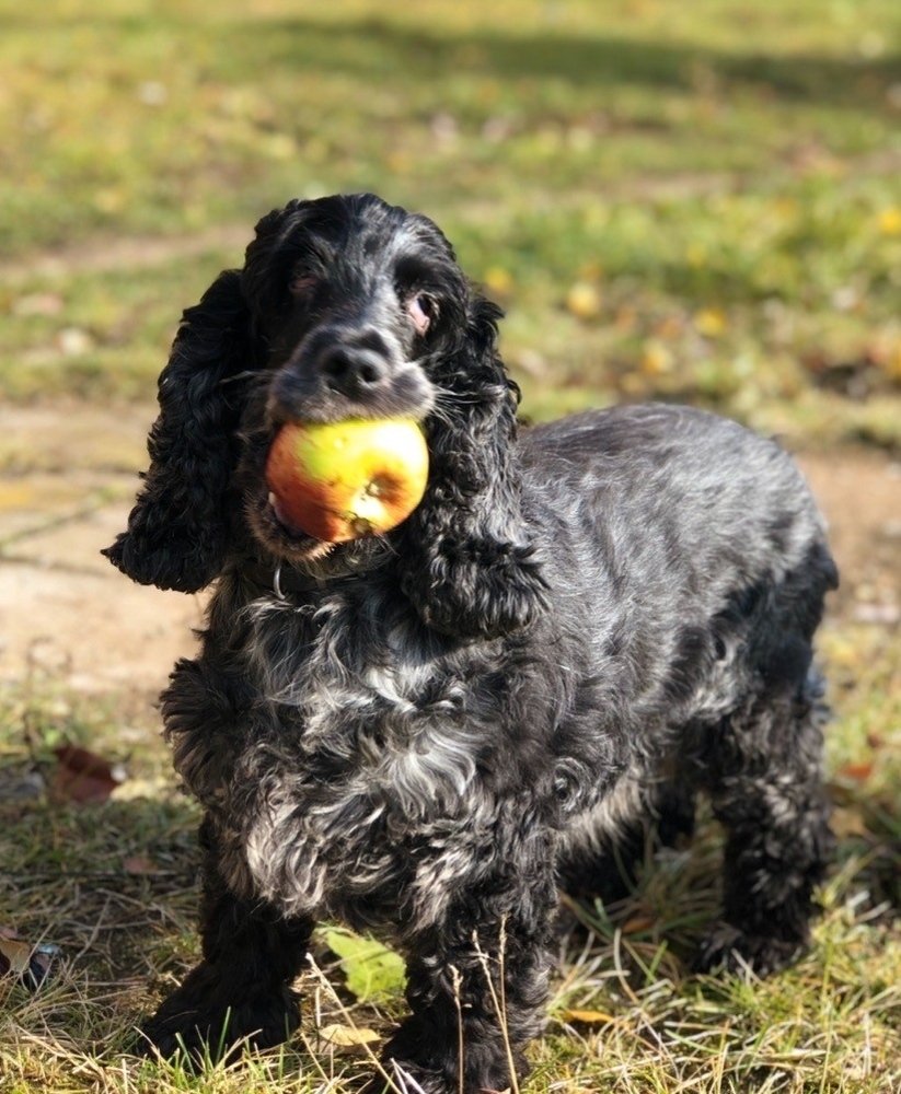 Photograph by Вита