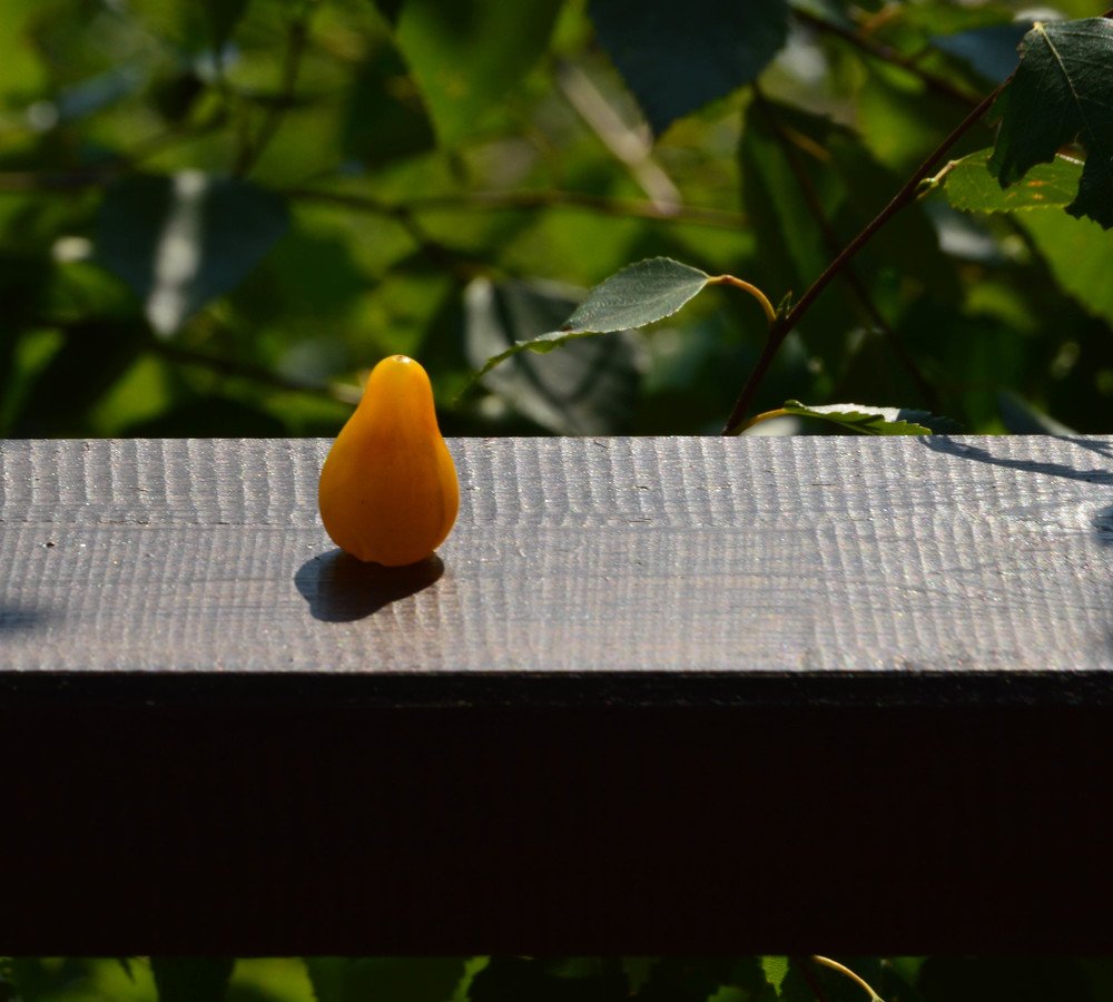 Photograph by Наталья Мордовская