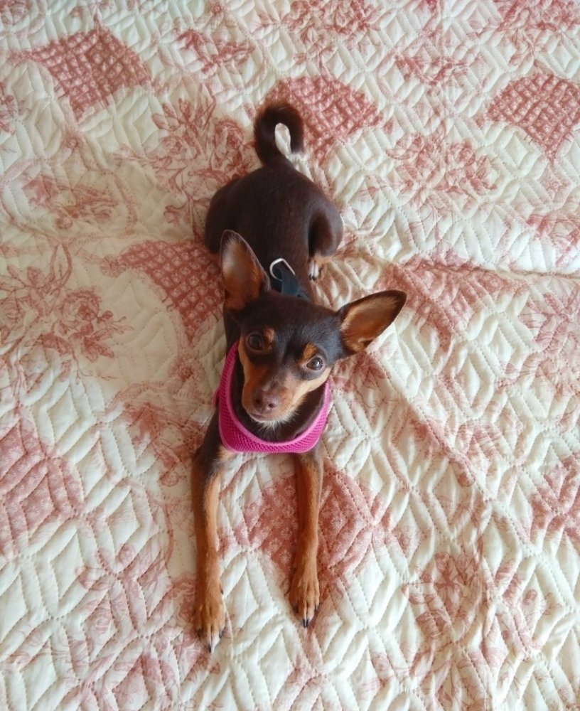 Photograph by Вита