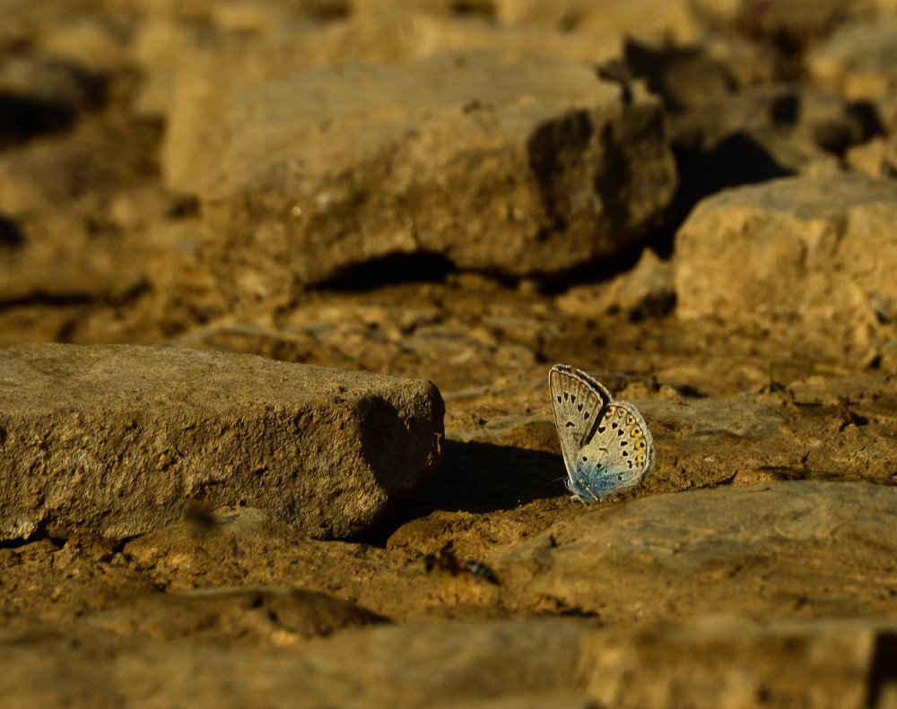 Photograph by Наталья Мордовская