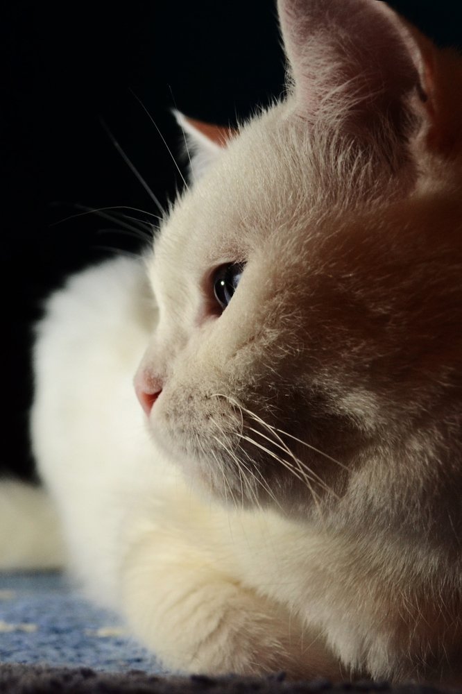 Photograph by Яна Бовольская