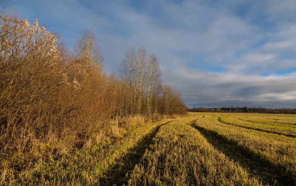 Тёплая осень