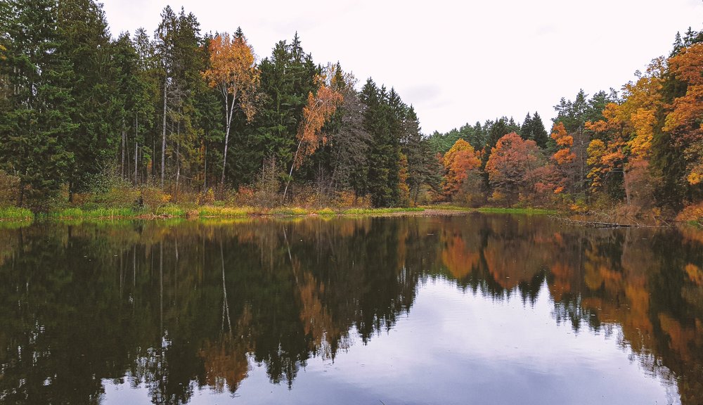 Краски осени