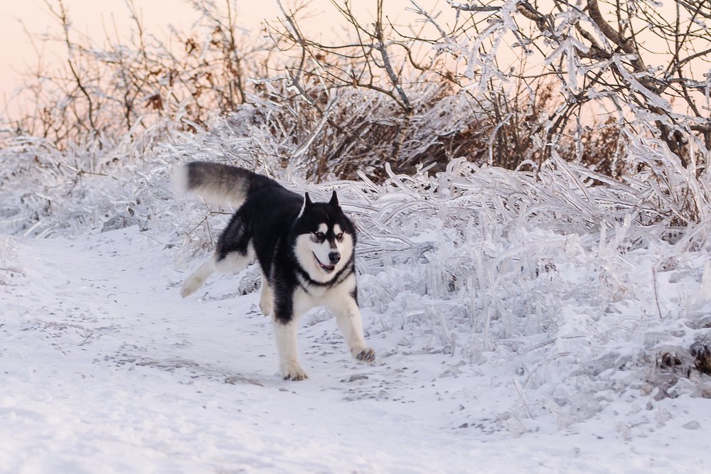 Photograph by Julia Moiseenko