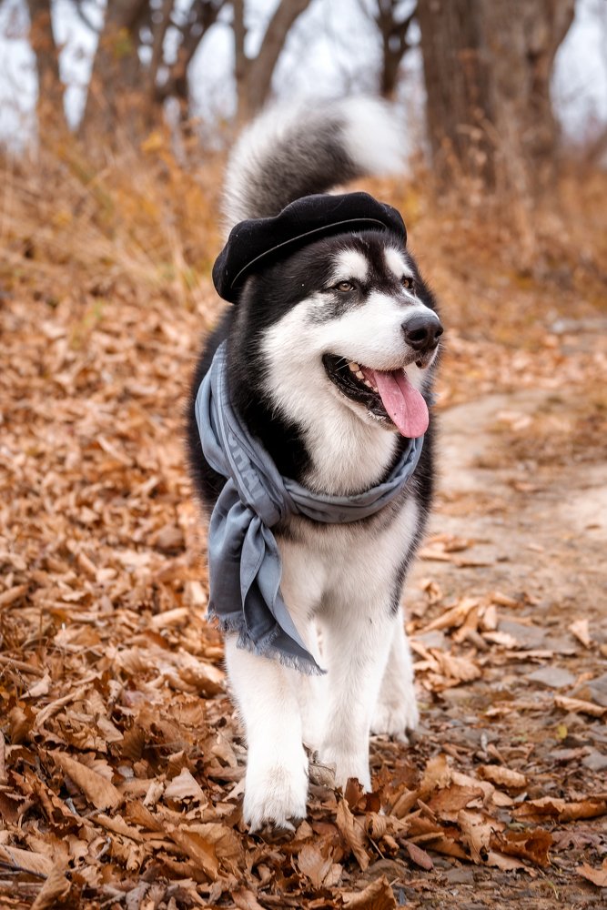 Photograph by Julia Moiseenko