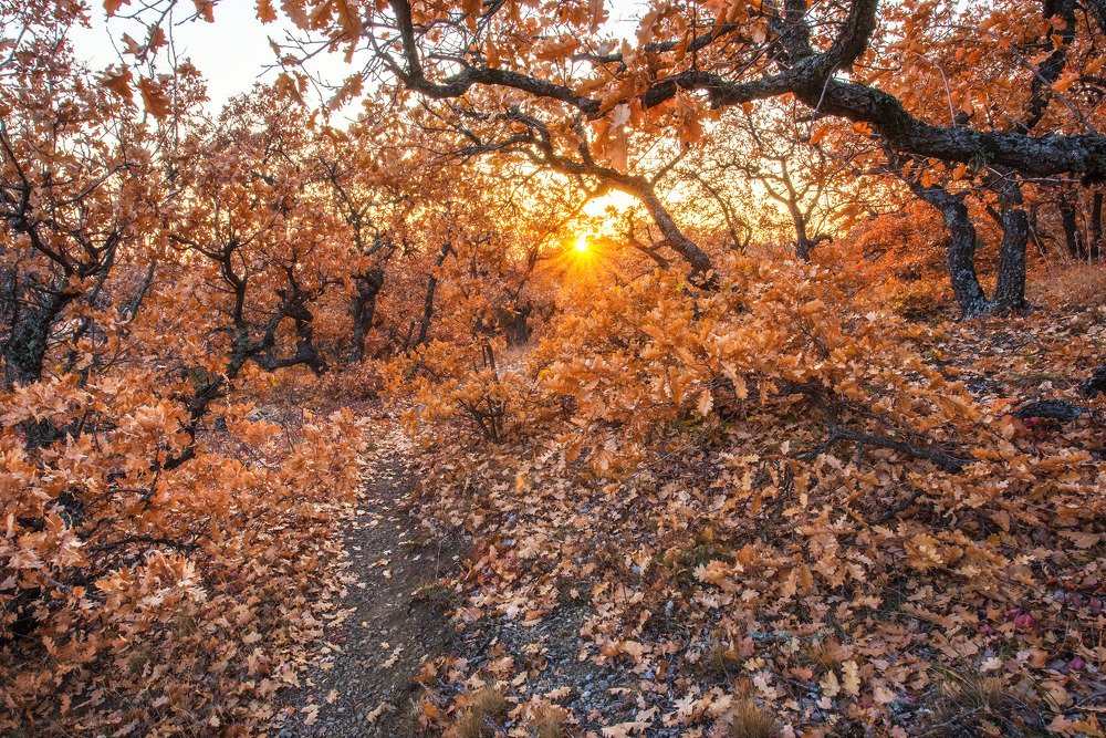 Photograph by Николай Кононов