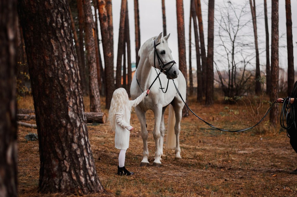 Photograph by Анастасия Парамонова