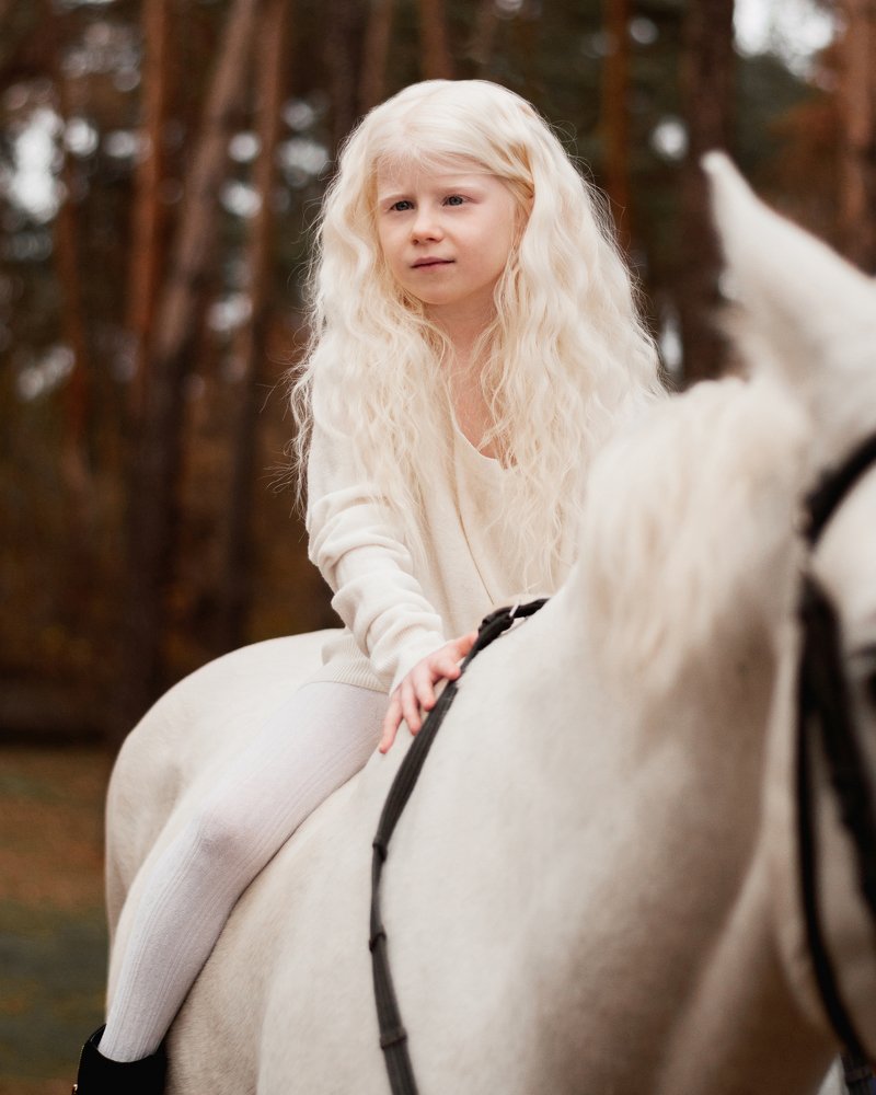 Photo #5312609