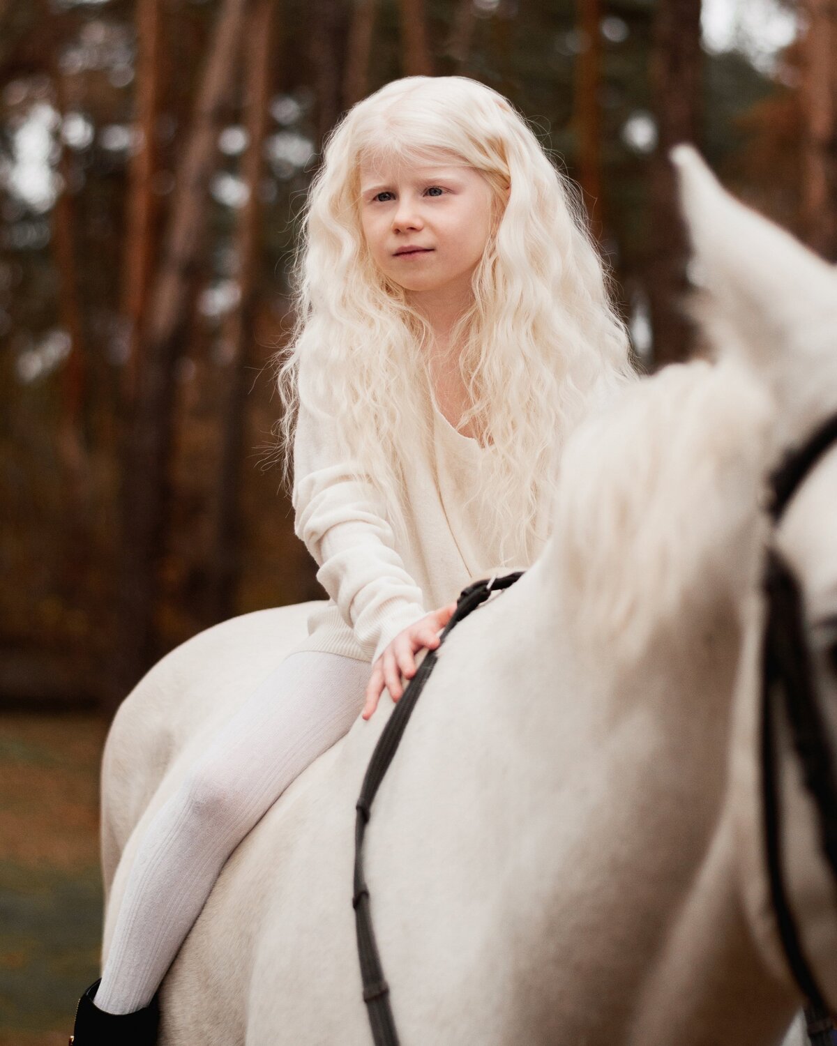 Photo #5312609