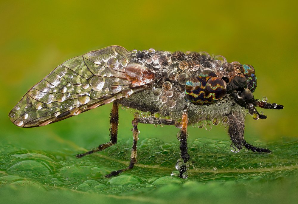 Photograph by Tsvetan Ganev