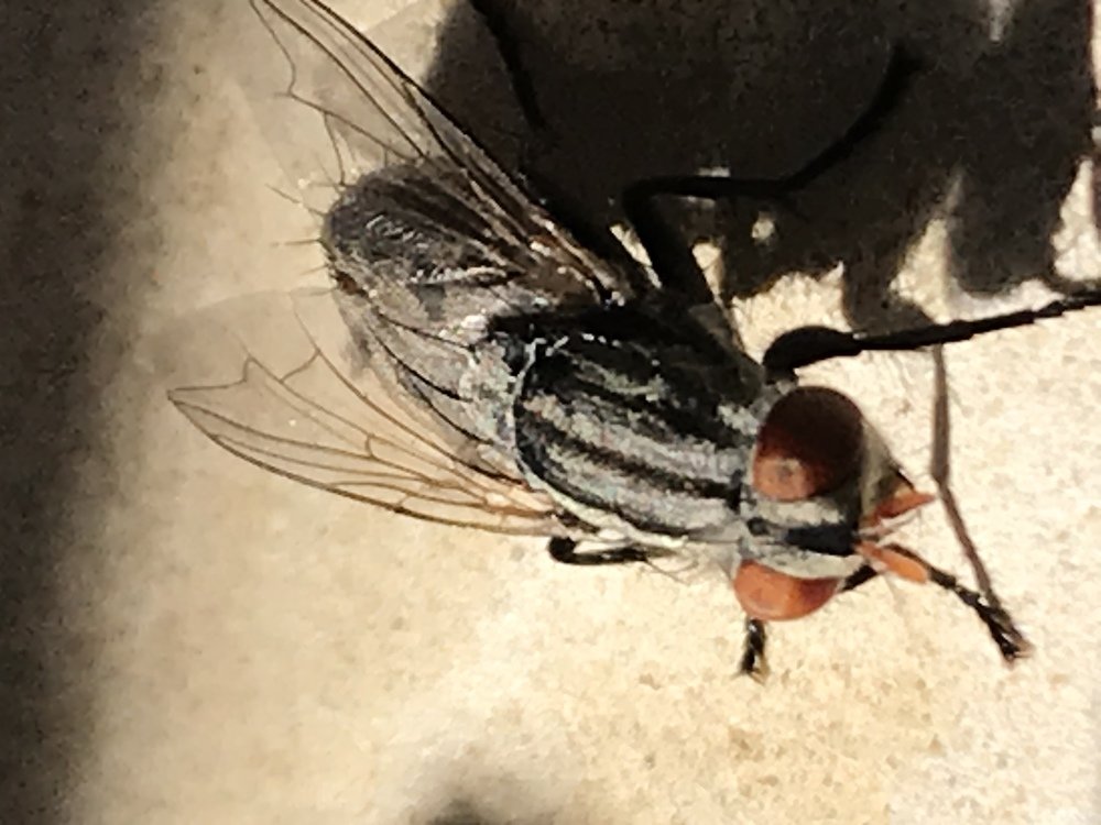 Photograph by Мария Берёзка