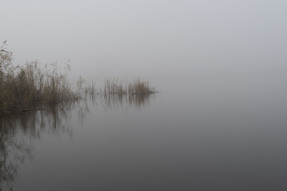 Photograph by Виктор Зотов