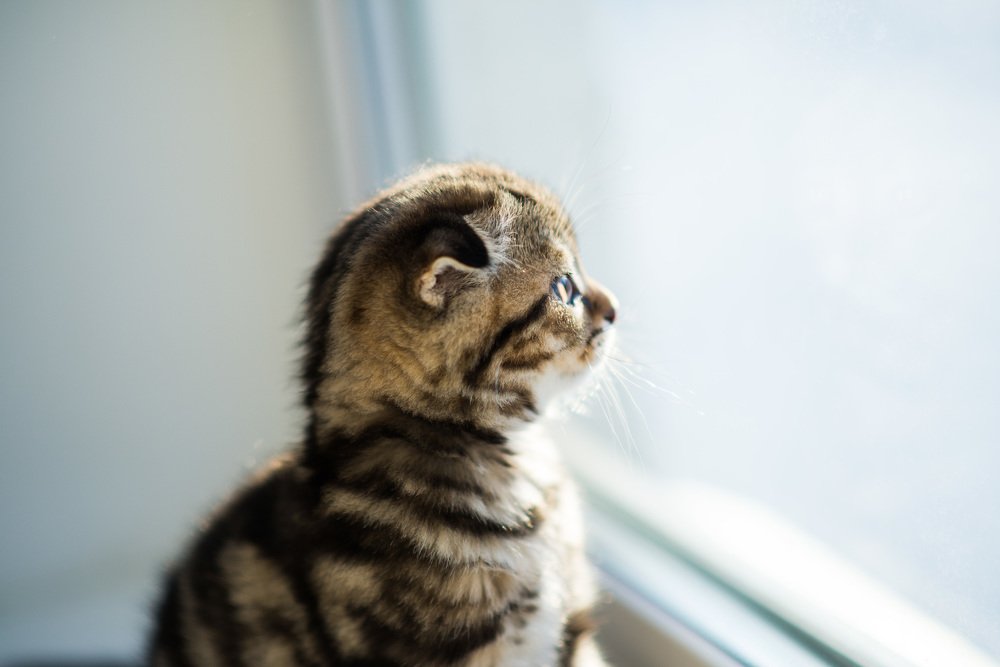 Photograph by Ирина Тен