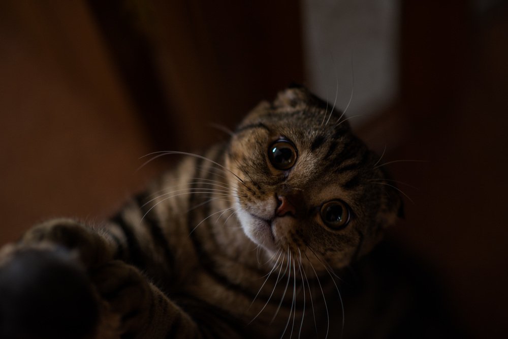 Photograph by Ирина Тен