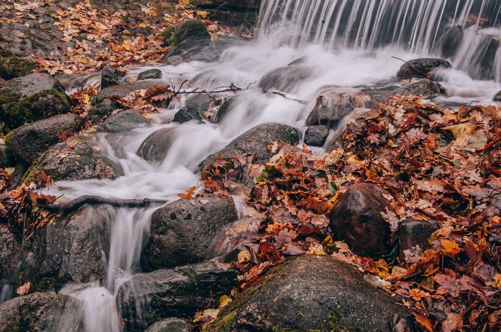 Photograph by Сафронова Любовь