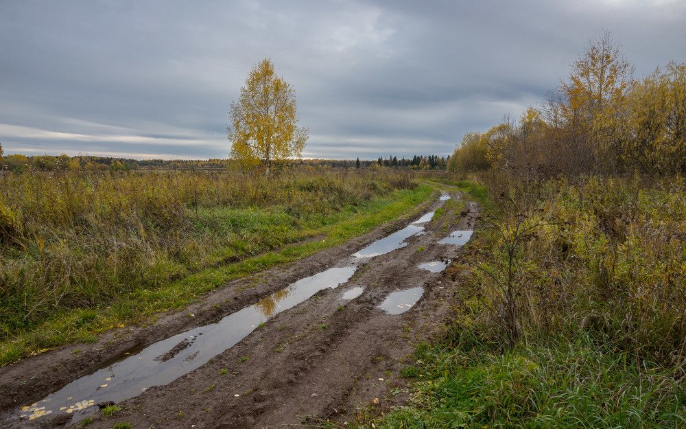 Дорогами осени