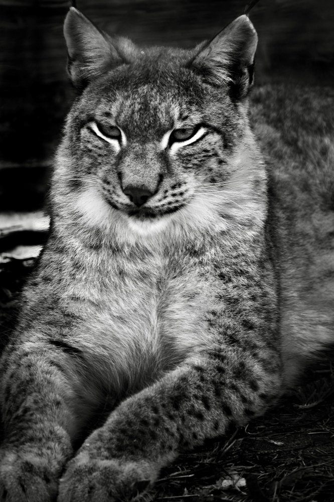 Photograph by Наталья Пирогова