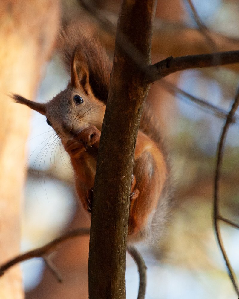 Photograph by Александр Натифов