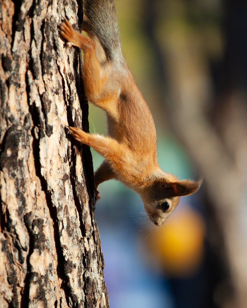 Photograph by Александр Натифов