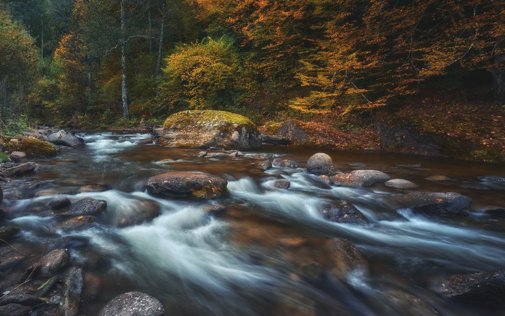 Шантацара...