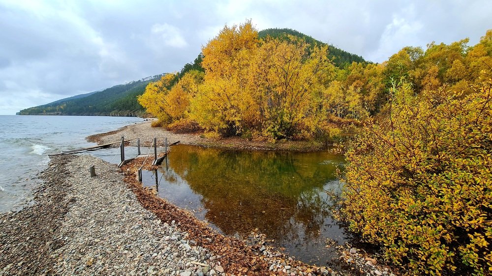Вот и Осень