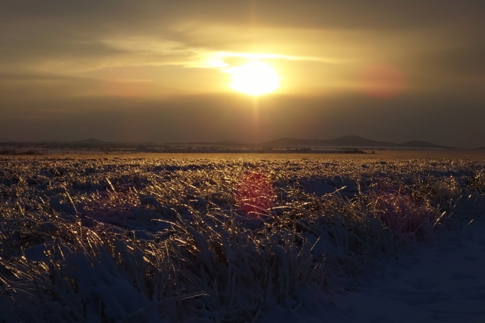 Photograph by Виктор Егоров