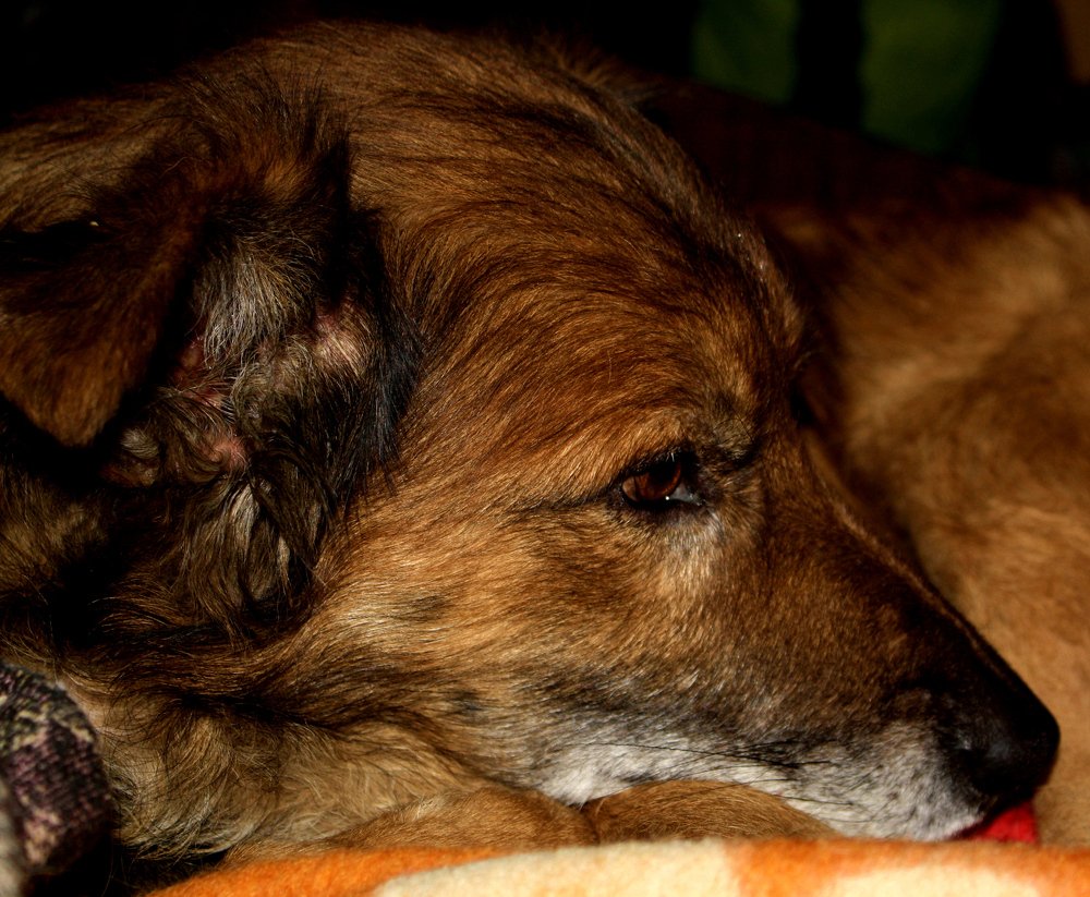 Photograph by Сергей Рапопорт