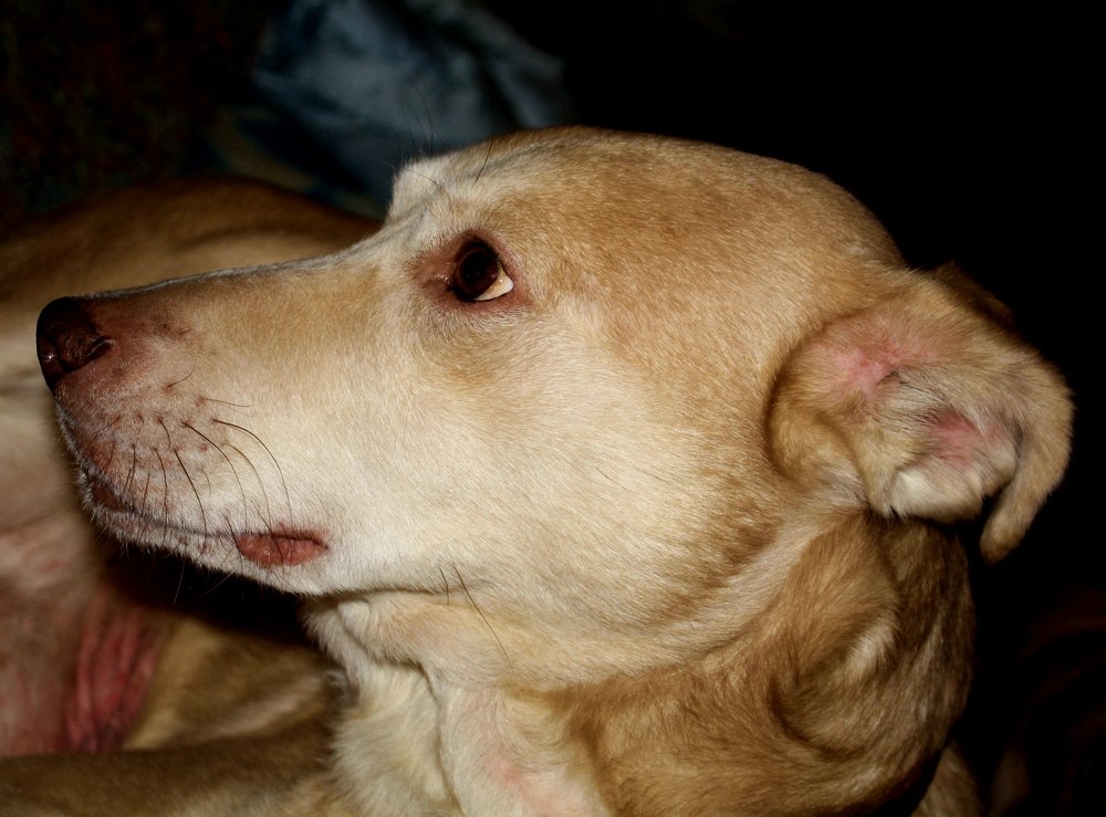 Photograph by Сергей Рапопорт