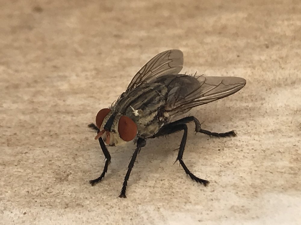 Photograph by Мария Берёзка