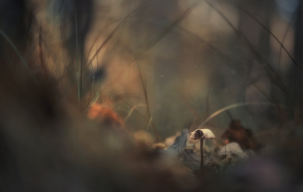 Photograph by Сергей Троицкий