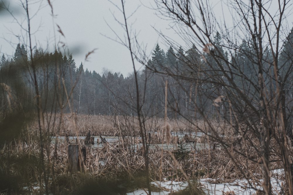 Photograph by Артем Полинин