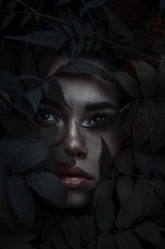 Photograph by Жора Кронштадтский