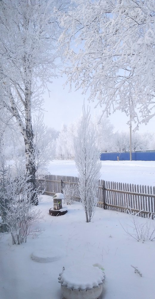 Photograph by Людмила Фризен
