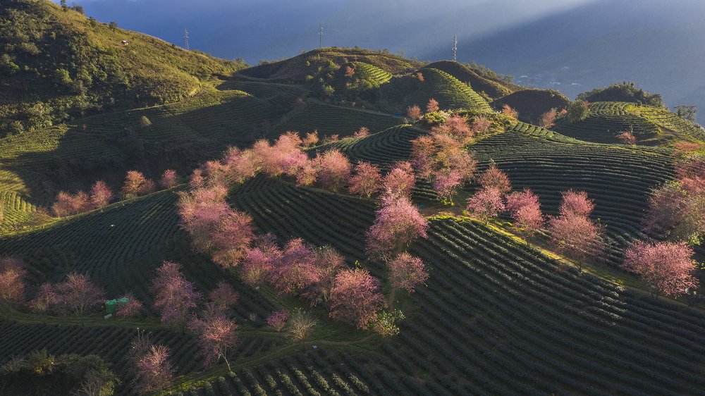 Photograph by Ba Nguyen