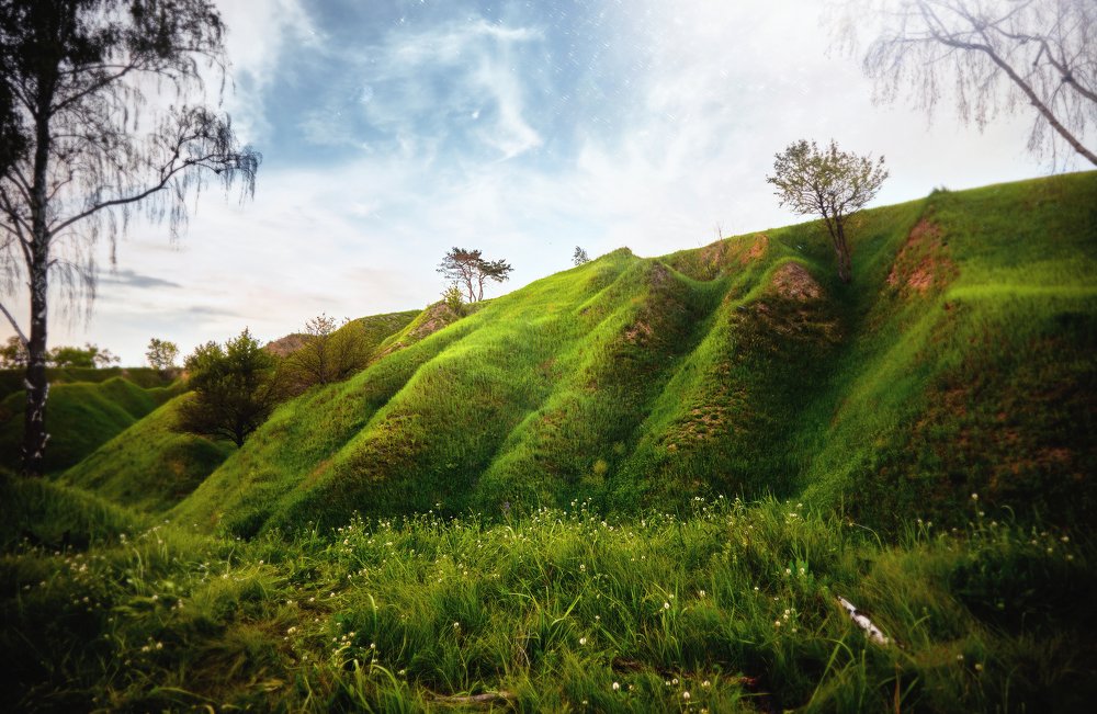 Фотография автора Александр Макаровский