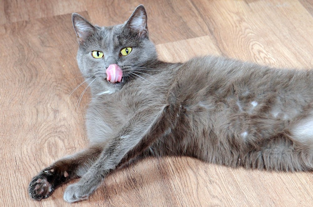 Фотография автора Людмила Куприянова