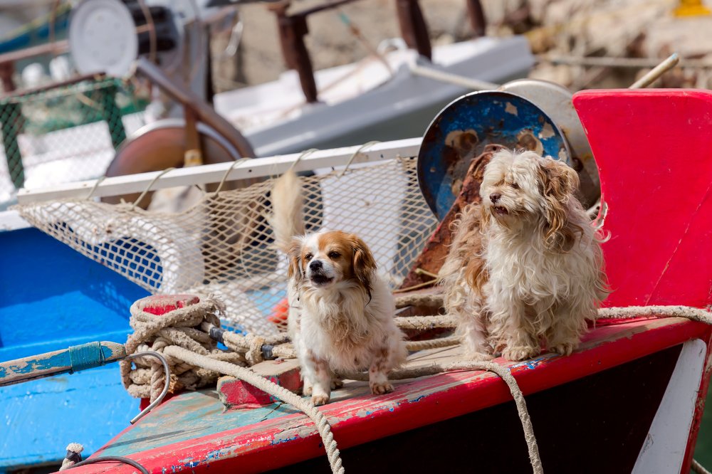 Photograph by TETYANA LYAPI