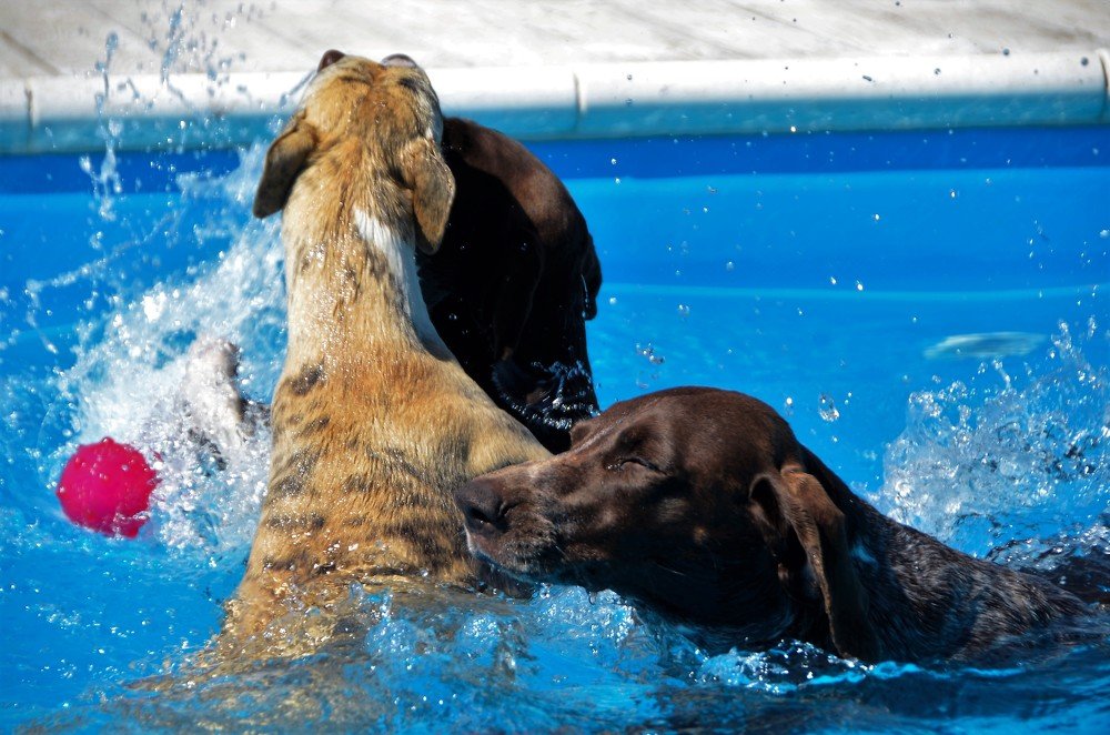 Photograph by Ann Stodolskaya