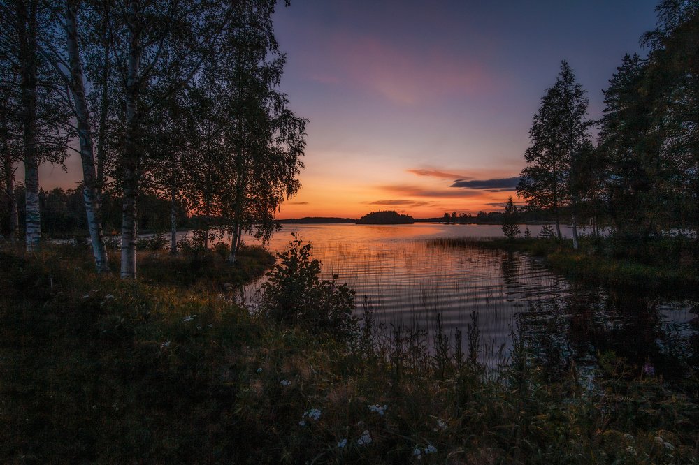 Photograph by Белова Лариса