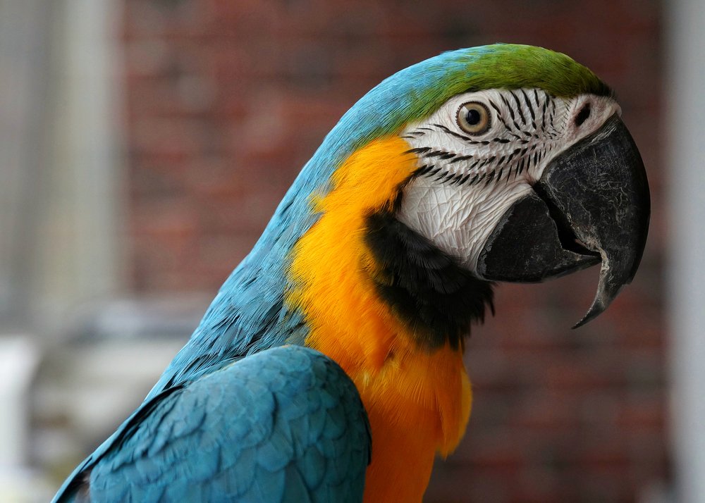 Photograph by Евгения Князева