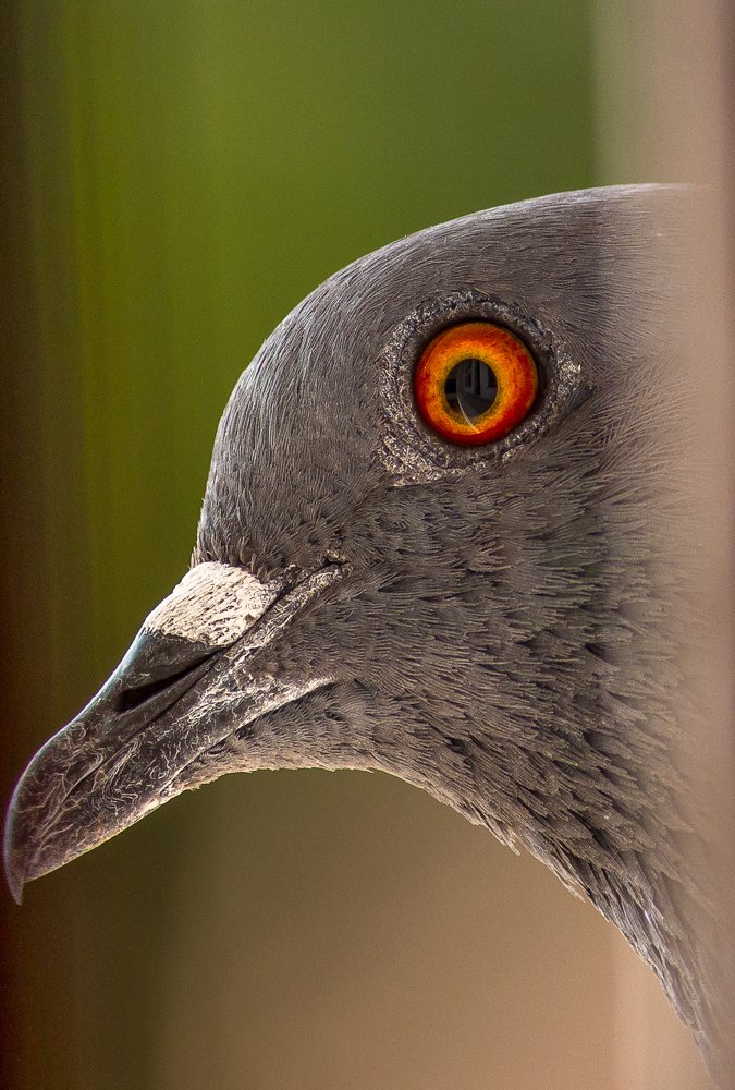 Photograph by Prasad Pavan