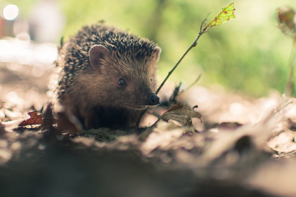 Фотография автора Aimen Zouagri