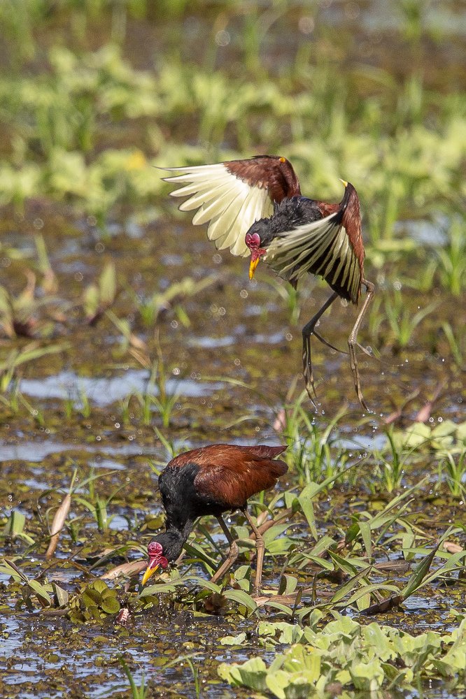 Photograph by Claudio Frateschi