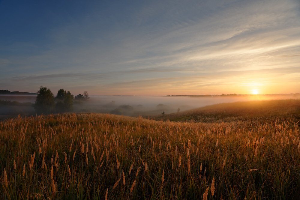 Золотое утро