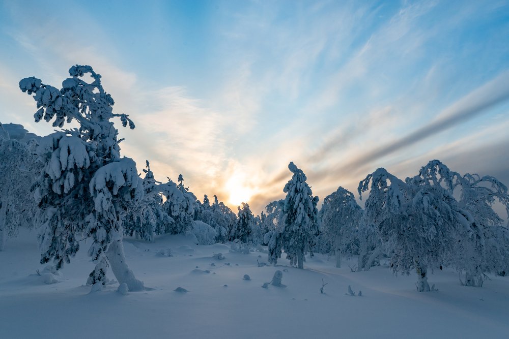 Photograph by Сергей Зубенин