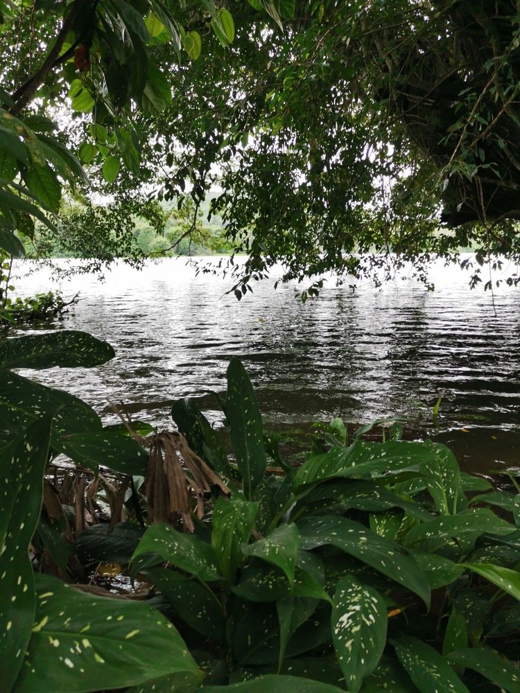 Photo #5313507