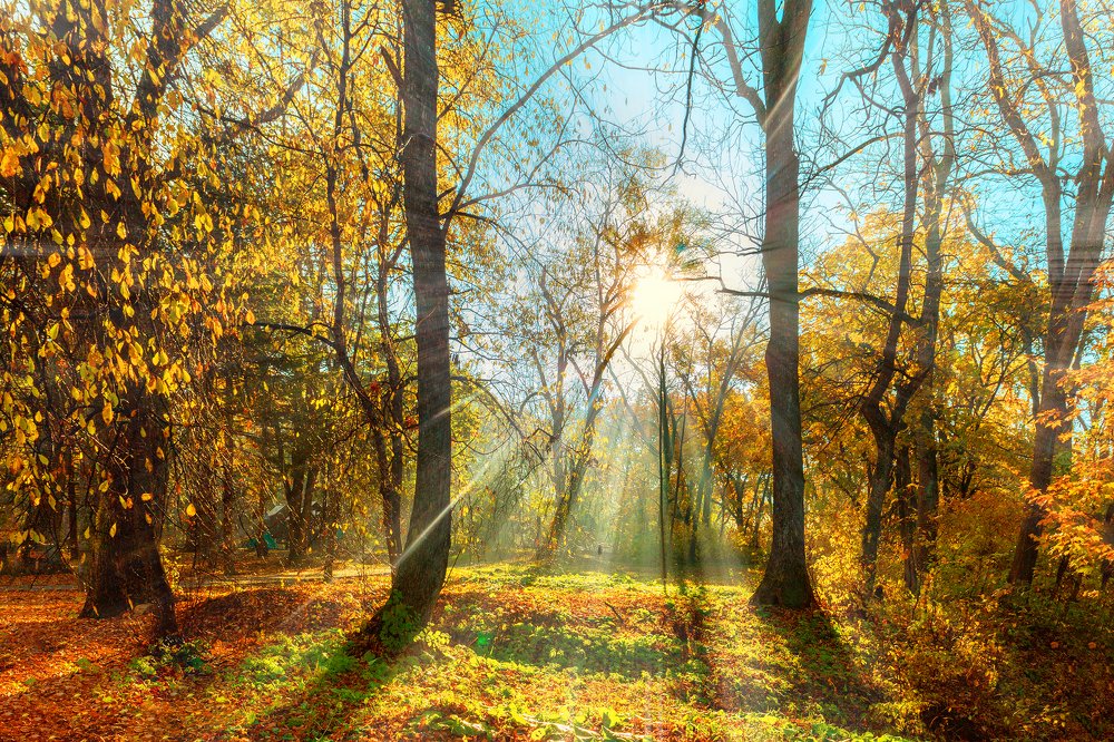 Photograph by Иван Радьков