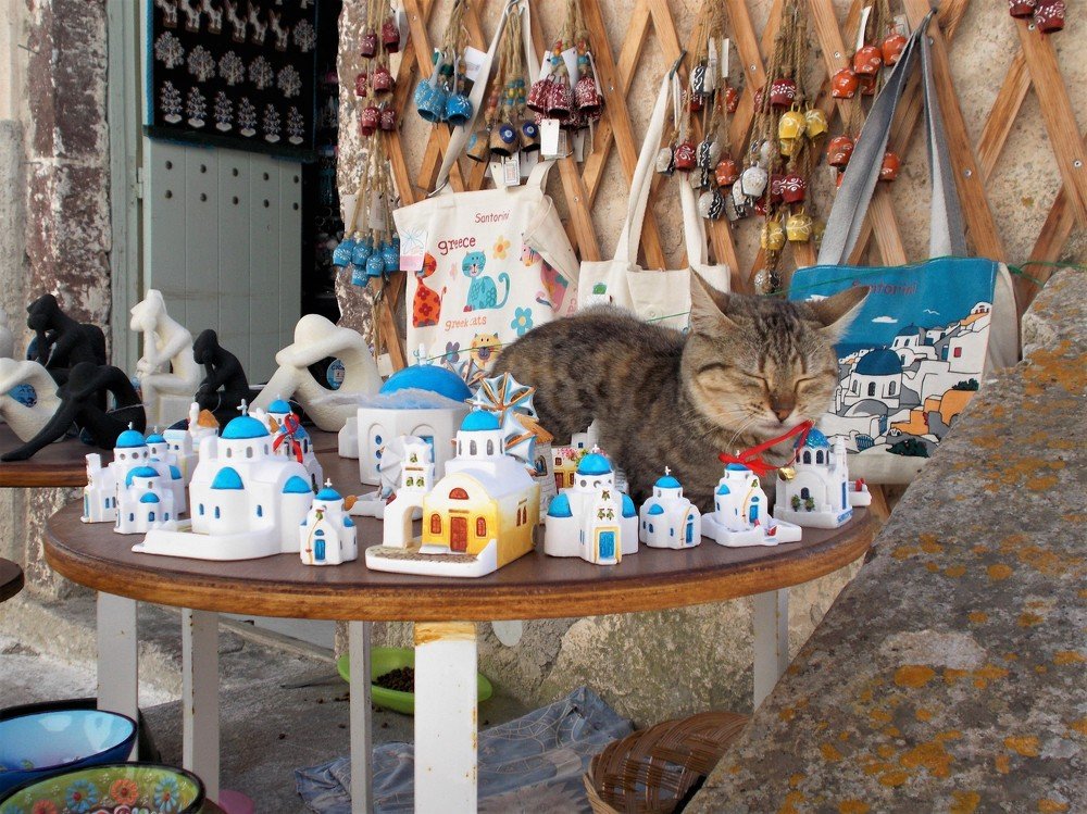 Photograph by José Luis Mendoza Machado