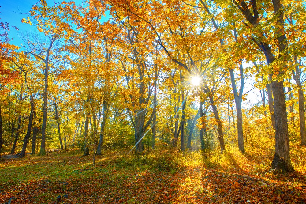 Photograph by Иван Радьков